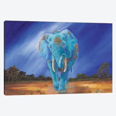 Tranquil Earth Elephant Canvas Print #LCR75} by Laura Curtin Canvas Art
