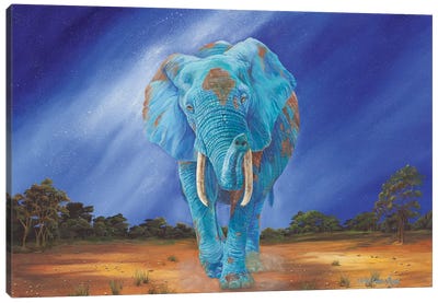 Tranquil Earth Elephant Canvas Art Print