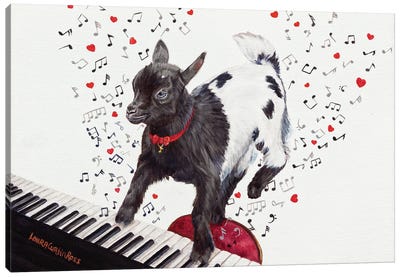 Baby Keys Canvas Art Print - Goat Art