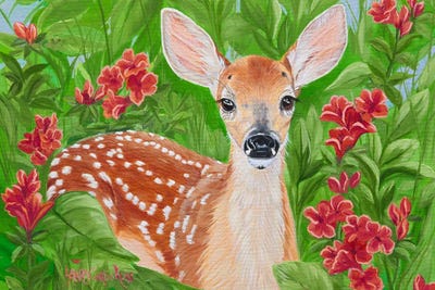 Quiet Fawn by Laura Curtin art print
