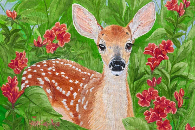 Quiet Fawn