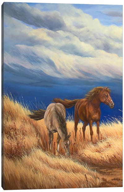Wild And Windy I Canvas Art Print - Laura Curtin