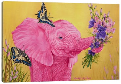 Summer Love Canvas Art Print - Elephant Art