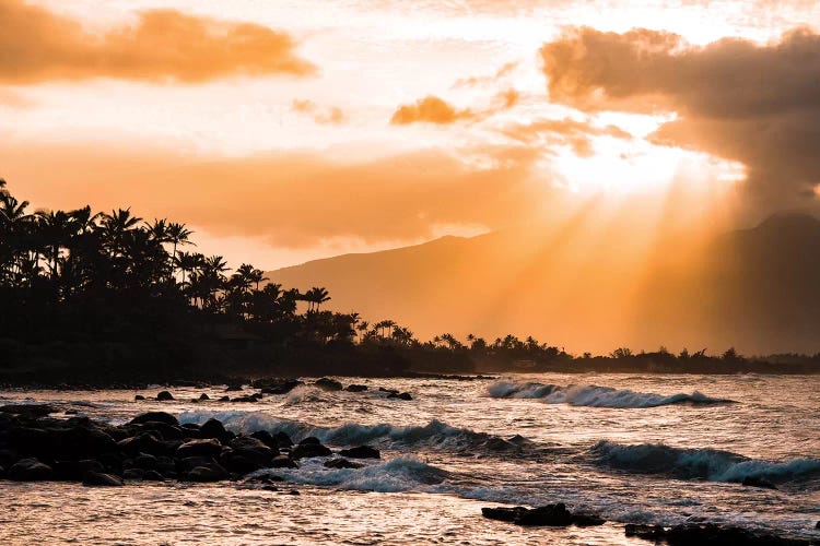 Warm Paradise by Lucas Moore wall art