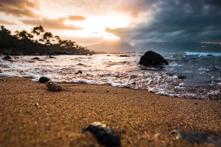 Warm Seashore by Lucas Moore wall art