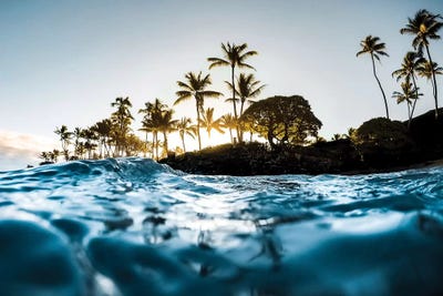 Warm Waters by Lucas Moore canvas print