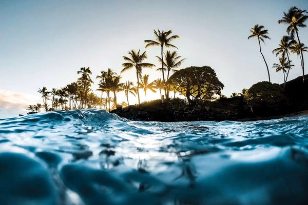 Lucas Moore: Warm Waters by Lucas Moore