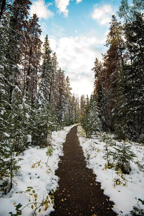 Winter Path