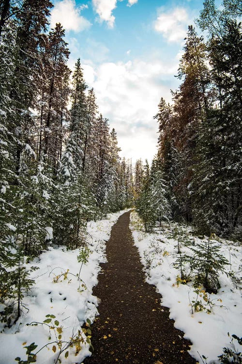 Winter Path by Lucas Moore wall art
