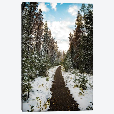 Winter Path Canvas Print #LCS106} by Lucas Moore Canvas Print