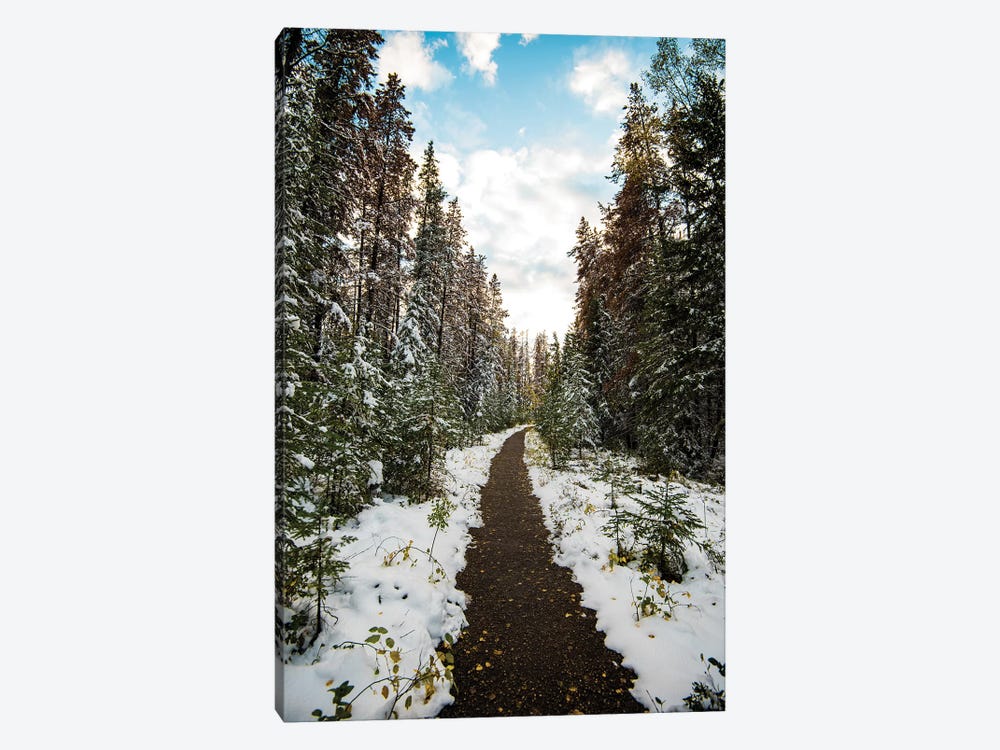 Winter Path by Lucas Moore 1-piece Canvas Wall Art