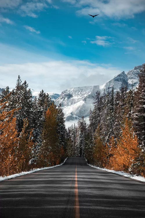 Winter Road by Lucas Moore wall art