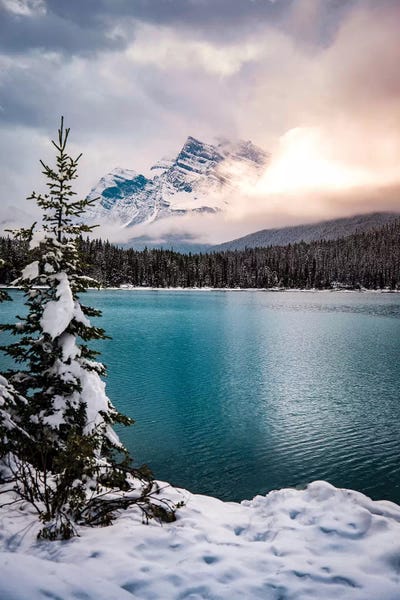 Alberta: Winter Wonderland by Lucas Moore