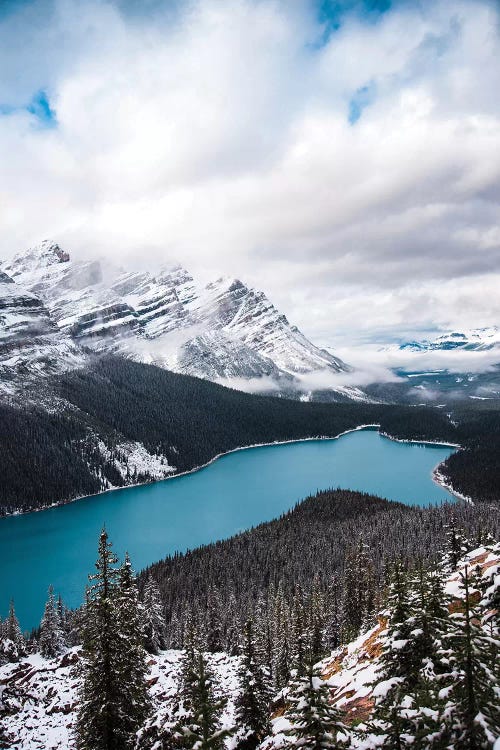 Wintry Peyto Lake