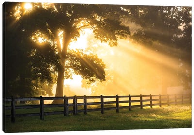 Break Of Dawn Canvas Art Print - Country Scenic Photography