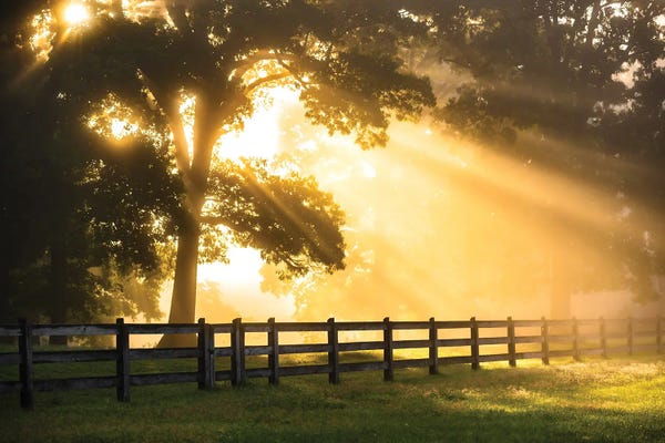 Atmospheric Photography: Break Of Dawn by Lucas Moore