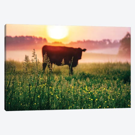 Cow Sunrise Canvas Print #LCS114} by Lucas Moore Canvas Artwork