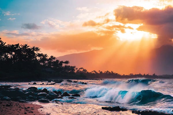 Lucas Moore: Sunset Paradise by Lucas Moore