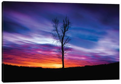 Lonely Sunset Canvas Art Print - Lucas Moore
