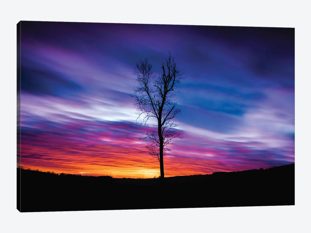 Lonely Sunset by Lucas Moore 1-piece Canvas Art