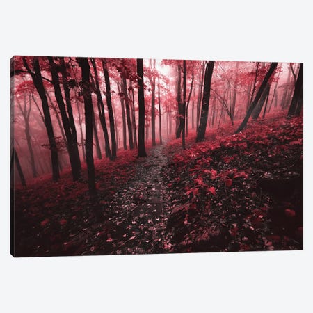 Red Forest Canvas Print #LCS121} by Lucas Moore Canvas Art