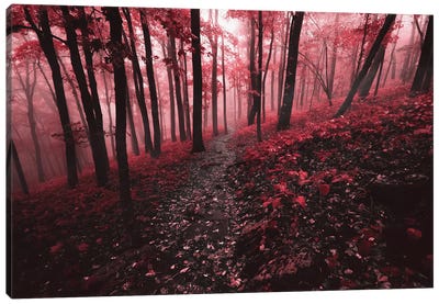 Red Forest Canvas Art Print - Lucas Moore
