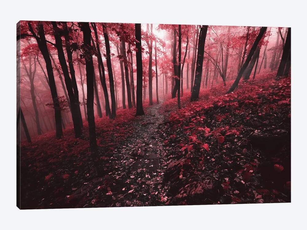 Red Forest by Lucas Moore 1-piece Art Print