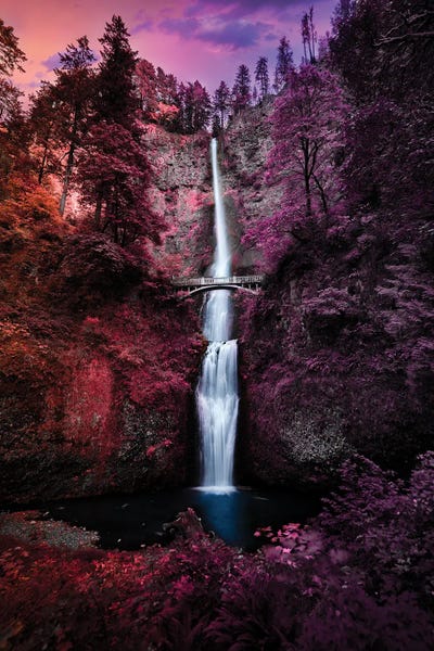 Lucas Moore: Colorful Falls by Lucas Moore