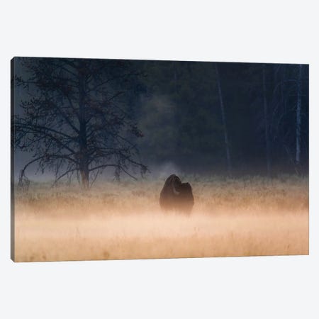 Foggy Morning Canvas Print #LCS159} by Lucas Moore Canvas Art Print