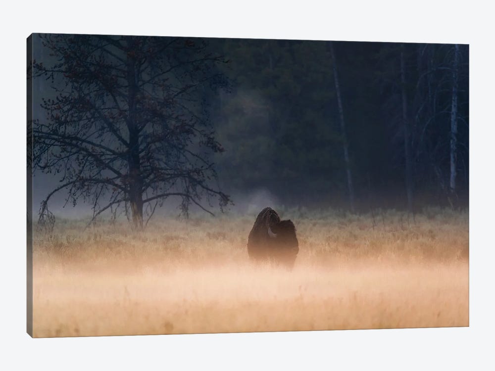 Foggy Morning by Lucas Moore 1-piece Canvas Wall Art