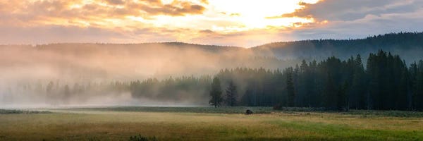 National Parks: Meadow Sunrise by Lucas Moore