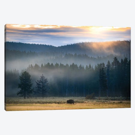 Yellowstone At Dawn Canvas Print #LCS163} by Lucas Moore Canvas Art