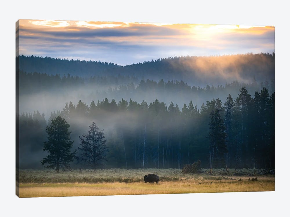 Yellowstone At Dawn by Lucas Moore 1-piece Canvas Art Print