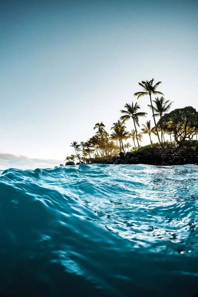 Blue Morning by Lucas Moore framed canvas print