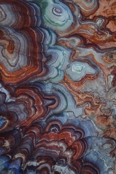 Out Of This World by Lucas Moore framed canvas print