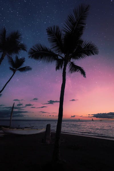 Night Wonder by Lucas Moore canvas print