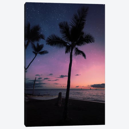 Night Wonder Canvas Print #LCS174} by Lucas Moore Canvas Artwork