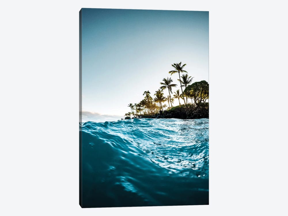 Blue Morning by Lucas Moore 1-piece Canvas Print