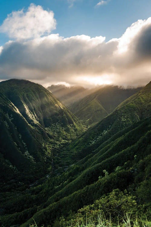 Valley Of Light