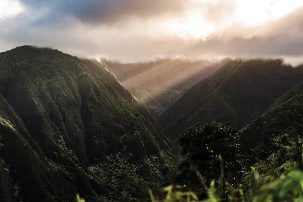 Lucas Moore: Piercing Light by Lucas Moore