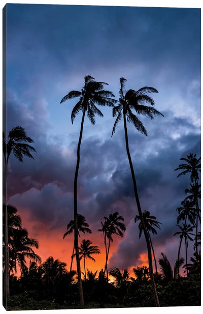 Fire Sunset Canvas Art Print - Tropical Beach Art