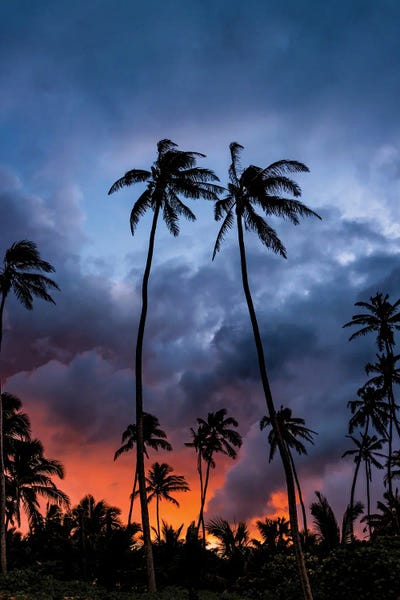 Hawaii: Fire Sunset by Lucas Moore