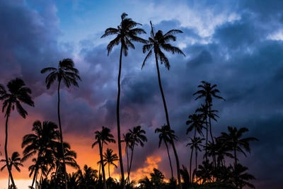 Fire In The Sky by Lucas Moore framed canvas print