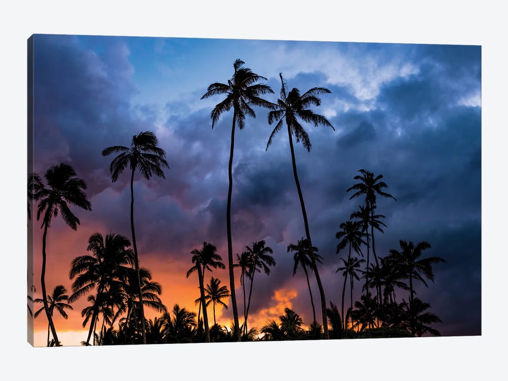 Fire In The Sky by Lucas Moore 1-piece Canvas Print