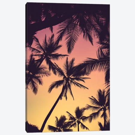 Tropical Palms Canvas Print #LCS188} by Lucas Moore Canvas Wall Art