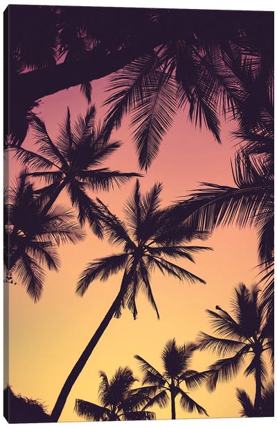 Tropical Palms Canvas Art Print - Lucas Moore