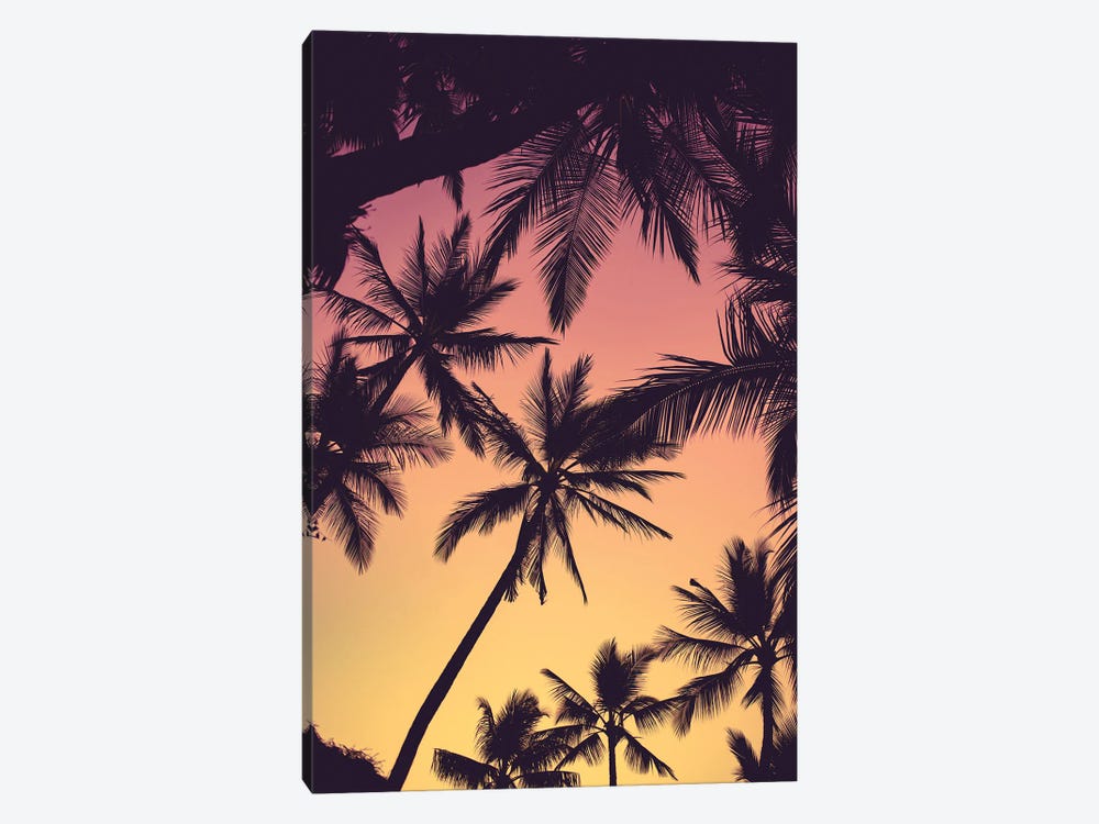Tropical Palms by Lucas Moore 1-piece Canvas Art