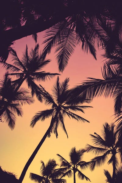 Tropical Beaches: Tropical Palms by Lucas Moore