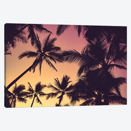 Warm Palms Canvas Print #LCS191} by Lucas Moore Canvas Print