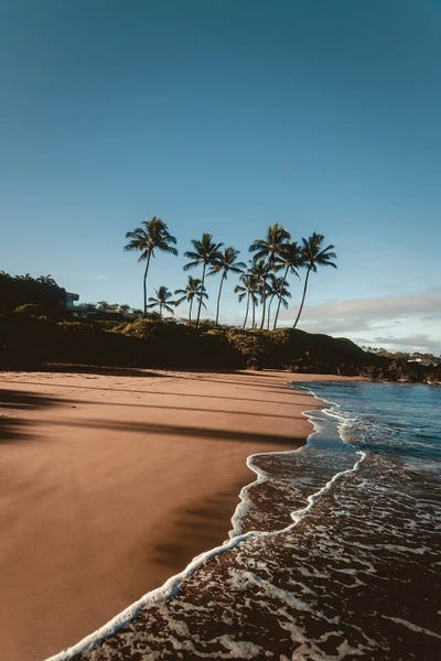 Morning Walk On The Beach by Lucas Moore framed canvas print